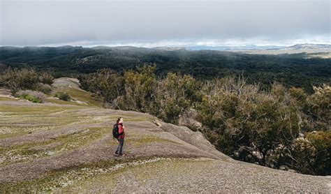 Bald Rock National Park Nsw National Parks