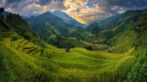 Rice fields on terraced of Mu Cang Chai on sunset by Extra Suriyachat - Photo 123084989 / 500px