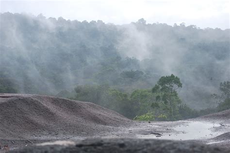Inselberg Savane Roche Virginie | Sacha Facchini | Flickr