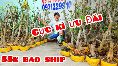 Liêm O97I2299IO Mai Giảo Thủ Đức 17 5 Chợ Gạo người miền tây