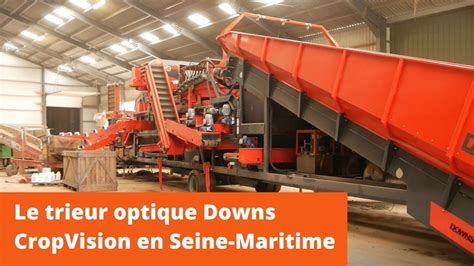 Pomme De Terre Le Trieur Optique Downs CropVision En Seine Maritime