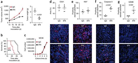 Dkk2 Blockade Impedes Tumor Progression In The Mc38 Syngeneic Tumor