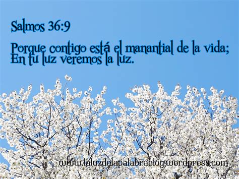 La Luz de la Palabra de Dios Página 3 Salmos 119 105 Lámpara es a