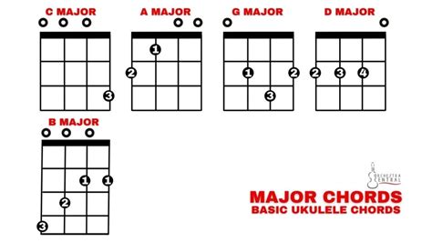 Acordes B Sicos De Ukelele F Ciles Y Aptos Para Principiantes