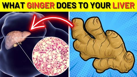 This Happens To Your Liver When You Eat Ginger Every Day Youtube