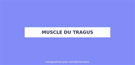 Définition de muscle du tragus Dictionnaire français