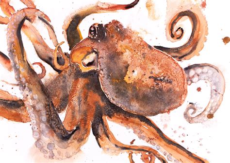 Octopus Painting Octopus Watercolour Painting Hand Signed Limited