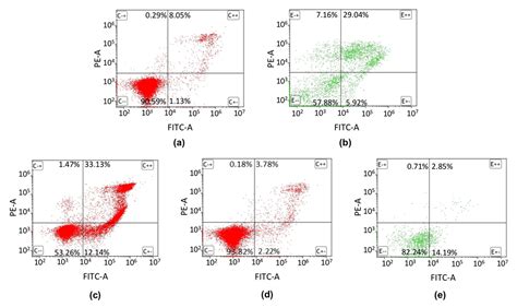 Ijms Free Full Text The Cytotoxicity And Genotoxicity Of Three Dental Universal Adhesives—an