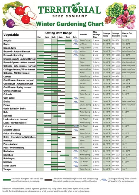 Vegetable Garden Planting Chart