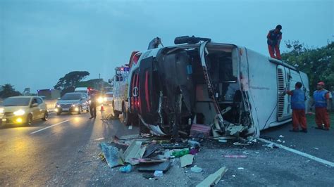 Ini Identitas 12 Penumpas Bus Yang Tewas Kecelakaan Di Tol Cipali