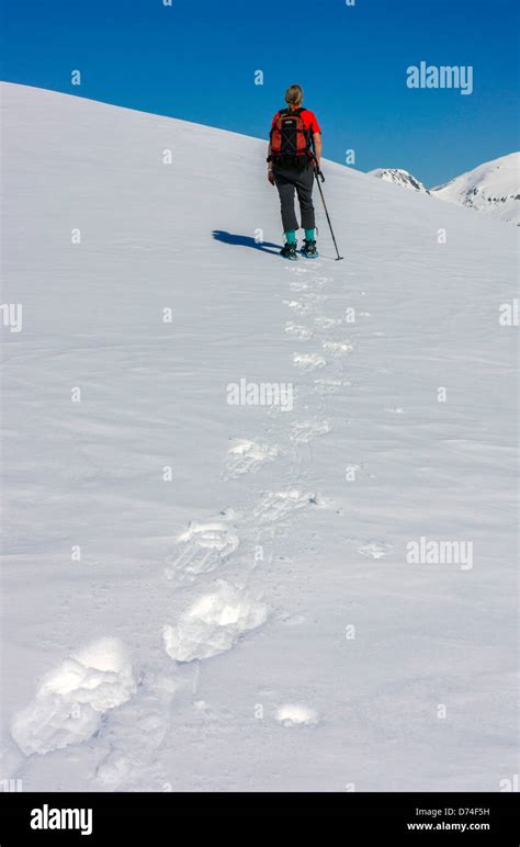 Female Figure In Red Snowshoeing Plateau De Beille Ariege French