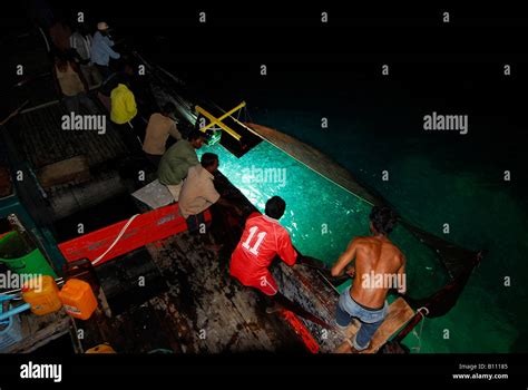 Fishermen Catch Bait Fishes Before Sunrise Indian Ocean Maldives