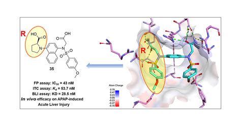 Discovery Of A Potent Kelch Like ECH Associated Protein 1 Nuclear