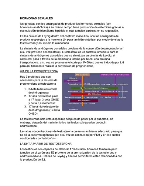 Hormonas Gonadales HORMONAS SEXUALES las gónadas son los encargados