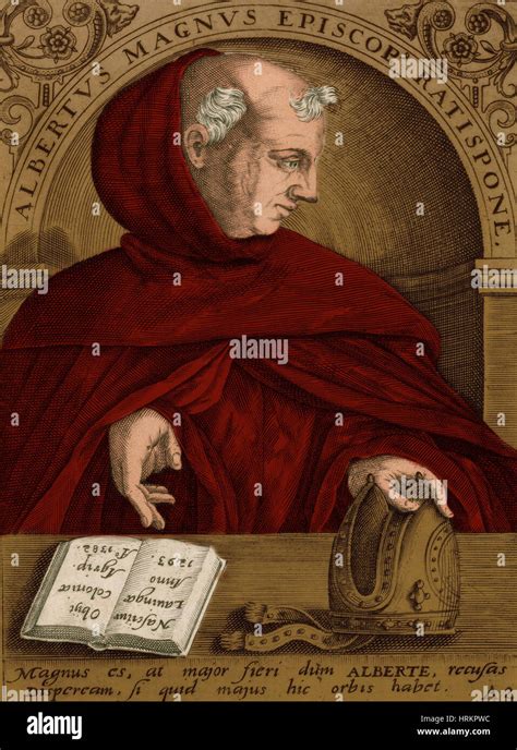 Albertus Magnus, Medieval Philosopher Stock Photo - Alamy