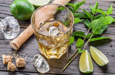 Chilango Mojito Descubre Su Origen Y Aprende A Preparar El Coctel