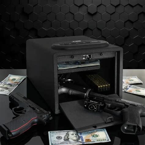 Fingerprint Multi Gun Vault Lock Box Cabinet Case Handgun Ammo Firearm