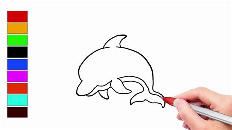 How To Draw A Cartoon Dolphin Youtube