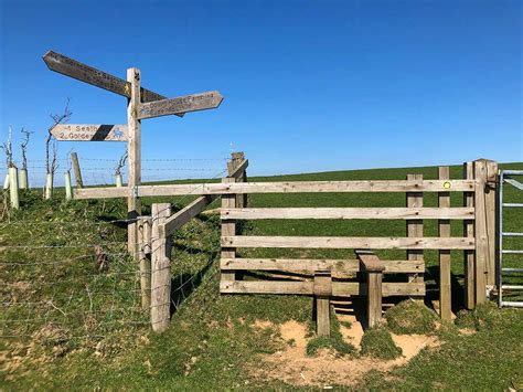 Seatown To Thorncombe Beacon Walk Dorset Walks