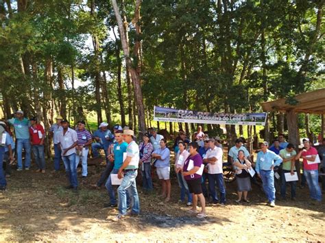 Roncador Emater Realiza Dia De Campo Sobre Bovinocultura De Leite