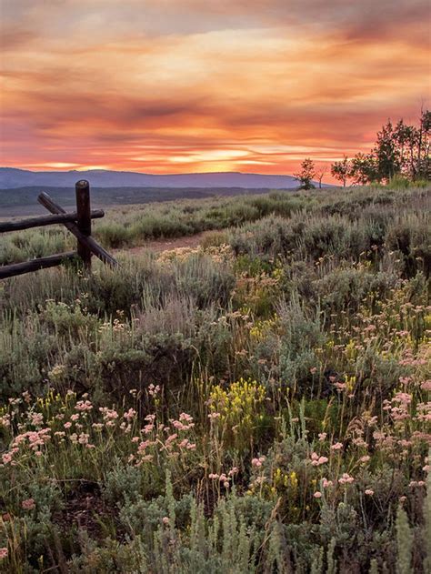 Heres A Beautiful Wildflower Sunset From Utahs Back Country Near