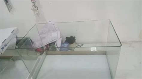 Glass Imported Moulded Fish Tank Size Cmx Cmx Cm At Rs In Pune