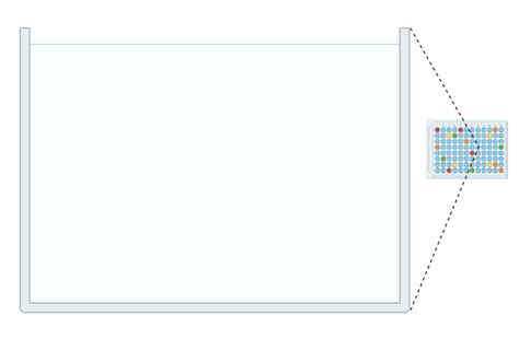 96 Well Plate With Callout Layout Biorender Science Templates