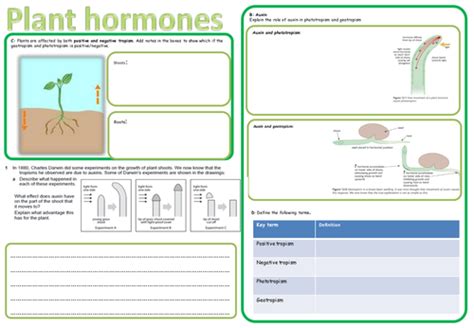 Igcse Plant Hormones Revision Teaching Resources