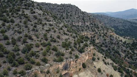 T Rkiye Nin Ilk Fosil Orman Unesco Yolunda Gezi Biletim