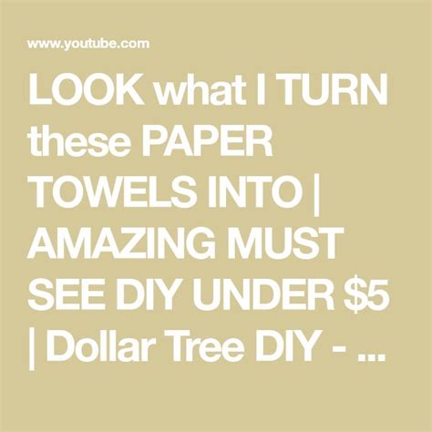 Look What I Turn These Paper Towels Into Amazing Must See Diy Under