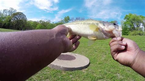 How To Catch Bass In Pressured Ponds Tulsa Oklahoma Ponds Youtube