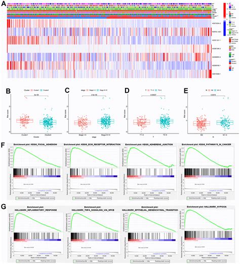 Construction And Validation Of Cuproptosis Related Lncrna Prediction