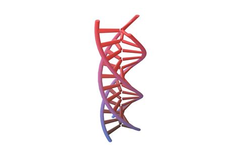 Triple Helix Dna V D Model Cgtrader