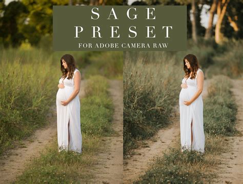 Sage Adobe Camera Raw Preset Acr Preset For Photographers