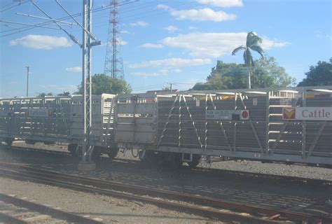 Cattle Cars At Emerald These Cattle Cars Were On A Siding Flickr