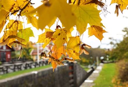 linkoping city stock pictures editorial images  stock