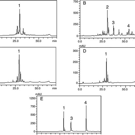 Phenolic Profile Of C Ambrosioides Leaves Crude Extract A 365