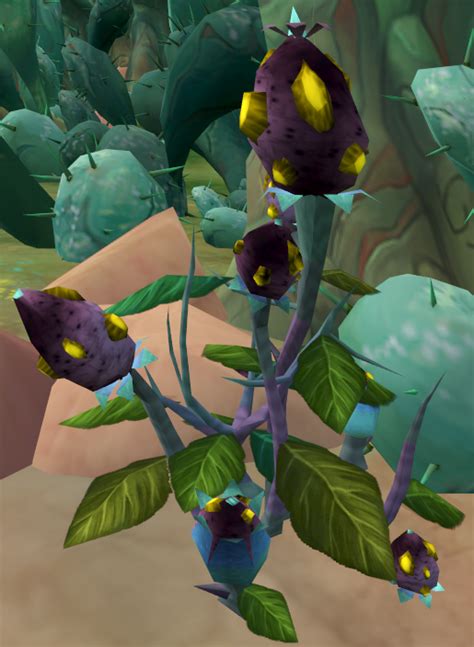 Mysterious Flowers The Runescape Wiki