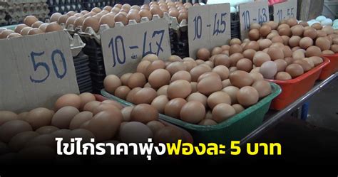 Photo Gallery แม่ค้าไข่ไก่สงขลาบ่นปรับราคาวันแรกพุ่งแพงสุดฟองละ 5 บาท