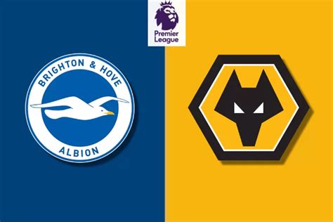 Link Live Streaming Brighton Vs Wolves Di Liga Inggris Berikut