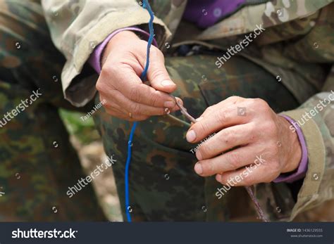 Grafting Fruit Tree Cleft Using Cuttings Shutterstock