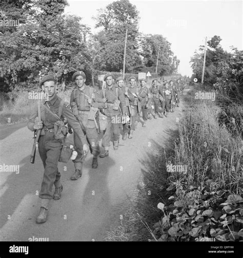 The British Army In The Normandy Campaign 1944 5th Battalion Welsh