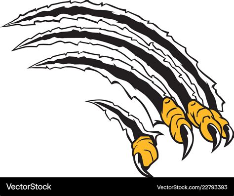 Bird Claws Logo Royalty Free Vector Image Vectorstock