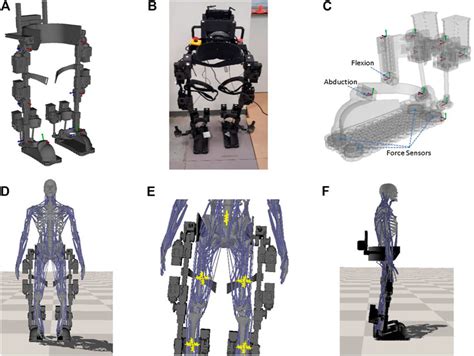 Frontiers Reinforcement Learning And Control Of A Lower Extremity