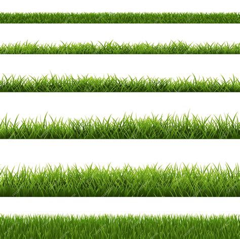 Premium Vector Grass Border Collection And White Background