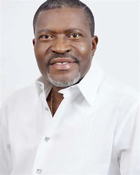 2019: Kanayo O. Kanayo declares intention to run for Reps - Daily Post ...