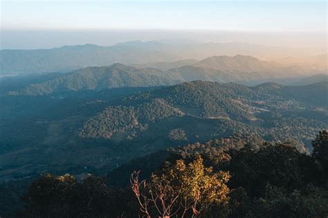 Di Atas Bukit Pemandangan Hutan Gunung Di Malam Hari Foto Stok Unduh