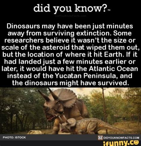 Did You Know Dinosaurs May Have Been Just Minutes Away From Surviving Extinction Some