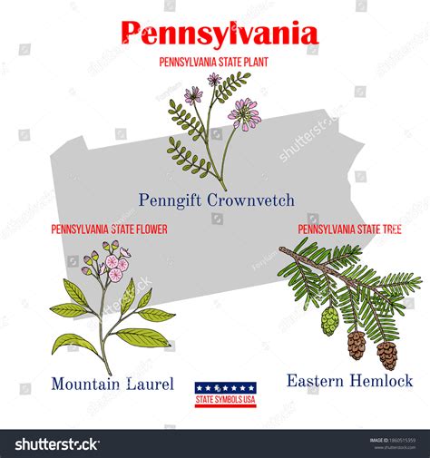 Pennsylvania Set Usa Official State Symbols Stock Vector (Royalty Free ...