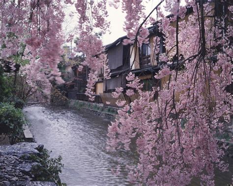 Courtesy Of Municipality Of Kyoto Pretty Landscapes Pretty Places